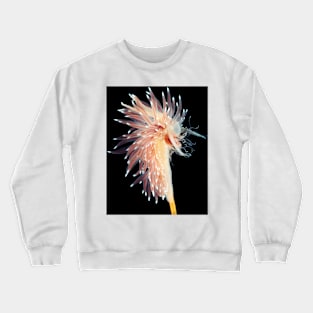 Sea slug (C021/6812) Crewneck Sweatshirt